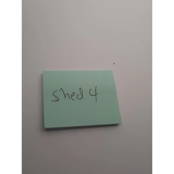 Cuttlefish Bone - Picture 5 of 5